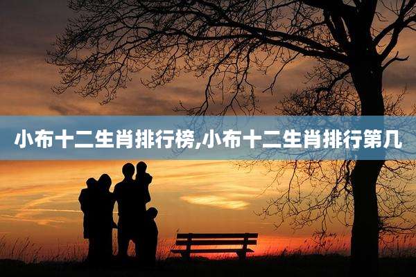 小布十二生肖排行榜,小布十二生肖排行第几