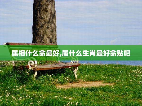 属相什么命最好,属什么生肖最好命贴吧