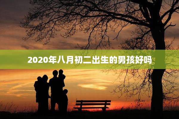 2020年八月初二出生的男孩好吗