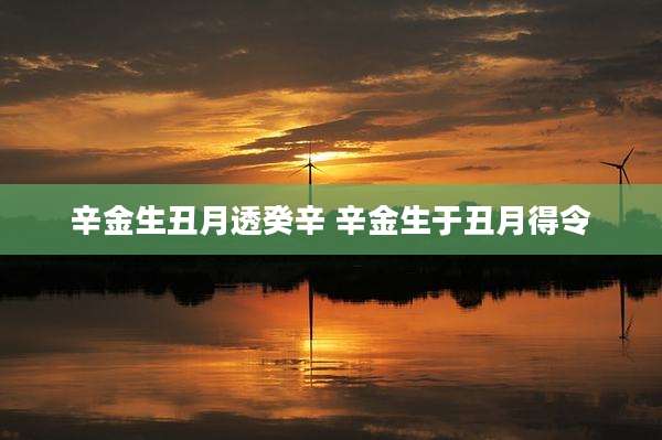 辛金生丑月透癸辛 辛金生于丑月得令