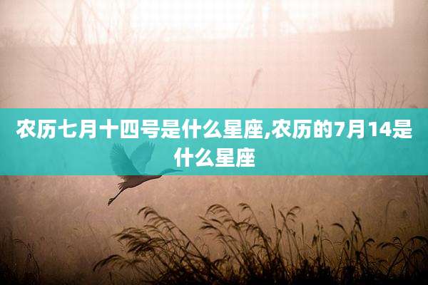 农历七月十四号是什么星座,农历的7月14是什么星座