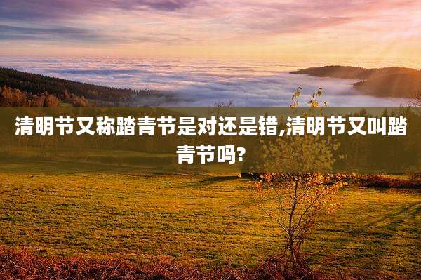 清明节又称踏青节是对还是错,清明节又叫踏青节吗?