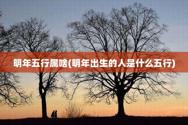 明年五行属啥(明年出生的人是什么五行)