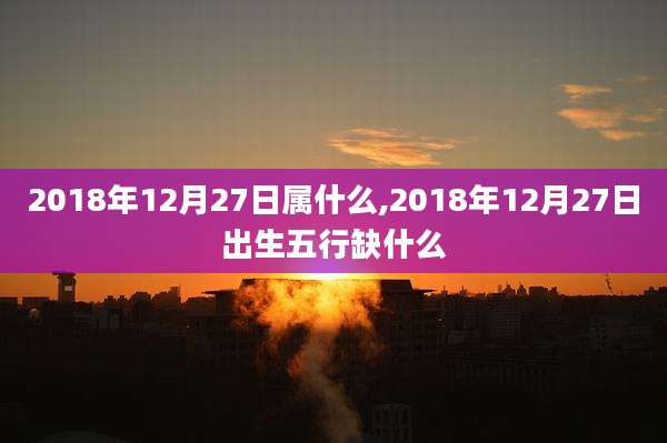 2018年12月27日属什么,2018年12月27日出生五行缺什么