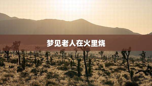 梦见老人在火里烧
