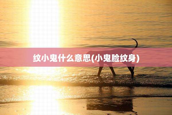 纹小鬼什么意思(小鬼脸纹身)