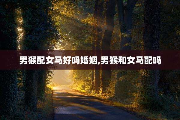 男猴配女马好吗婚姻,男猴和女马配吗