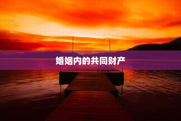 婚姻内的共同财产