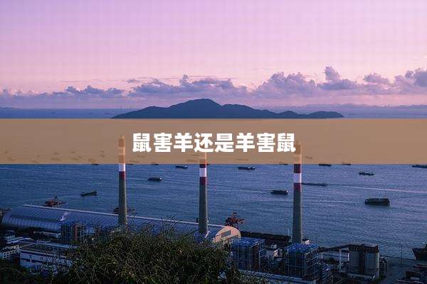 鼠害羊还是羊害鼠