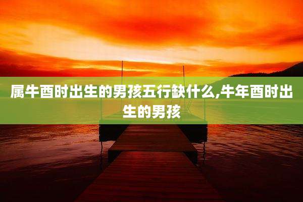 属牛酉时出生的男孩五行缺什么,牛年酉时出生的男孩