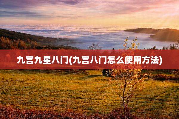 九宫九星八门(九宫八门怎么使用方法)