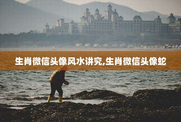 生肖微信头像风水讲究,生肖微信头像蛇