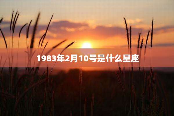 1983年2月10号是什么星座