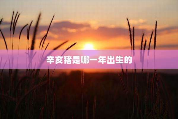辛亥猪是哪一年出生的