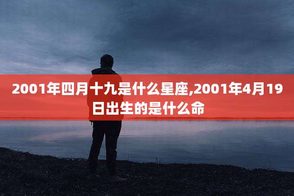 2001年四月十九是什么星座,2001年4月19日出生的是什么命