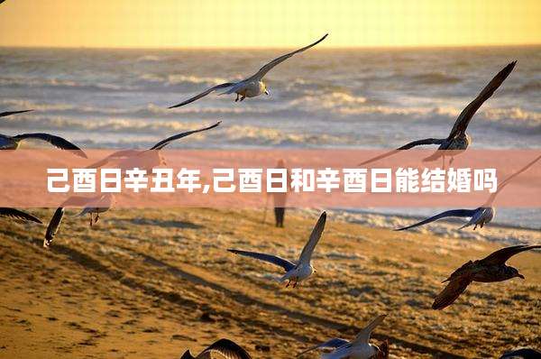 己酉日辛丑年,己酉日和辛酉日能结婚吗