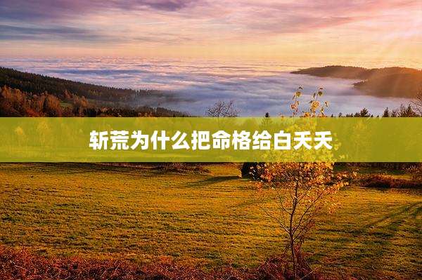 斩荒为什么把命格给白夭夭