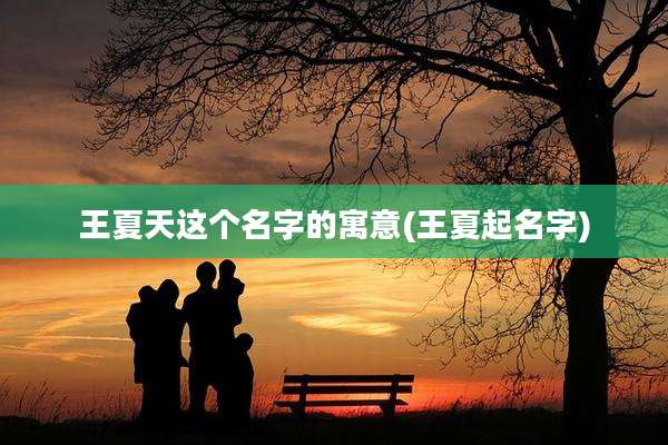 王夏天这个名字的寓意(王夏起名字)