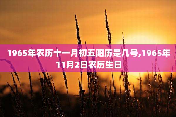 1965年农历十一月初五阳历是几号,1965年11月2日农历生日