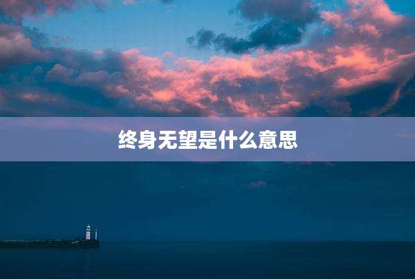 终身无望是什么意思