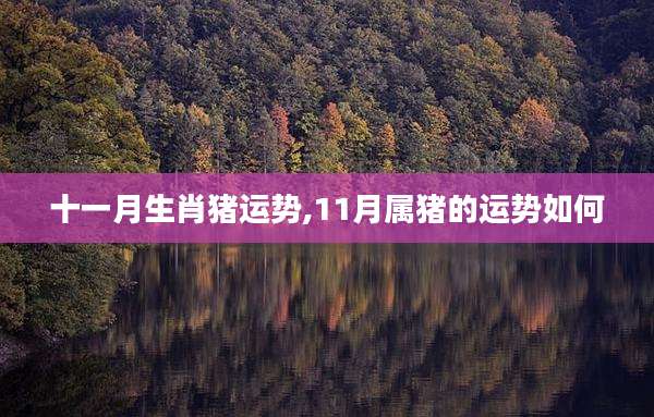 十一月生肖猪运势,11月属猪的运势如何