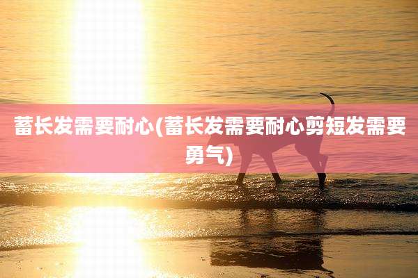 蓄长发需要耐心(蓄长发需要耐心剪短发需要勇气)