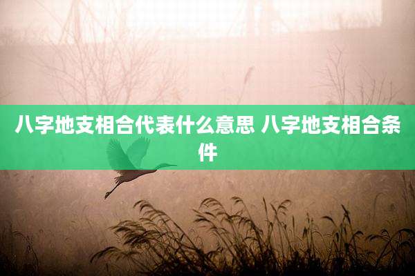 八字地支相合代表什么意思 八字地支相合条件