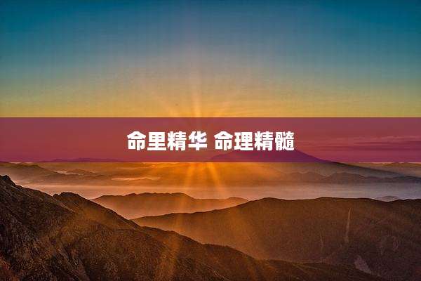 命里精华 命理精髓
