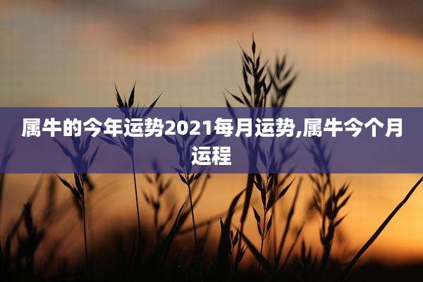 属牛的今年运势2021每月运势,属牛今个月运程
