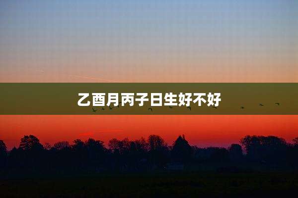 乙酉月丙子日生好不好