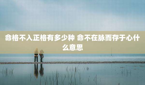 命格不入正格有多少种 命不在脉而存于心什么意思