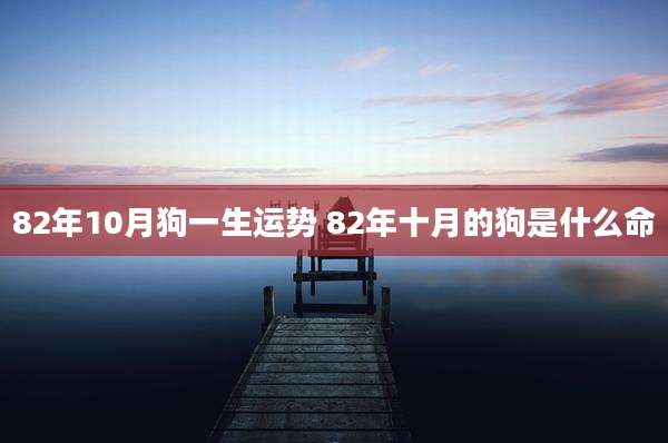 82年10月狗一生运势 82年十月的狗是什么命