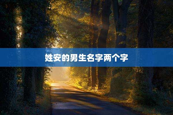 姓安的男生名字两个字