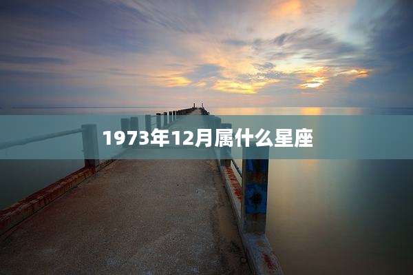 1973年12月属什么星座