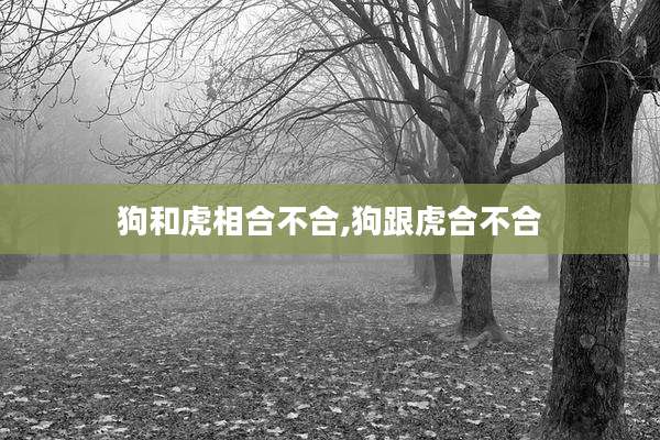 狗和虎相合不合,狗跟虎合不合
