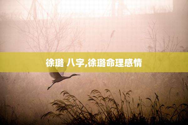 徐璐 八字,徐璐命理感情