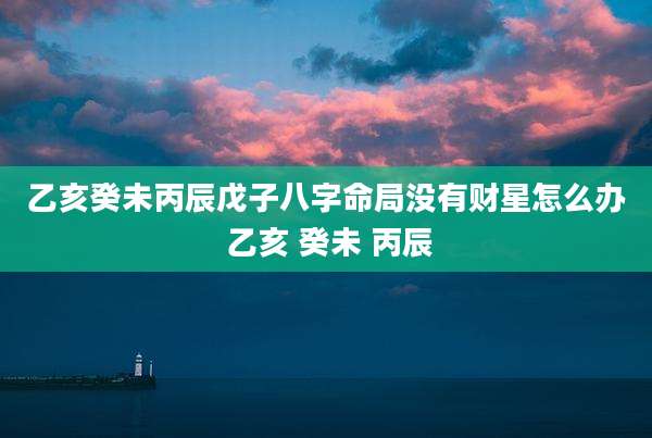 乙亥癸未丙辰戊子八字命局没有财星怎么办 乙亥 癸未 丙辰