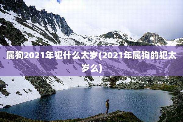属狗2021年犯什么太岁(2021年属狗的犯太岁么)