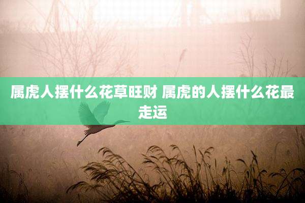 属虎人摆什么花草旺财 属虎的人摆什么花最走运
