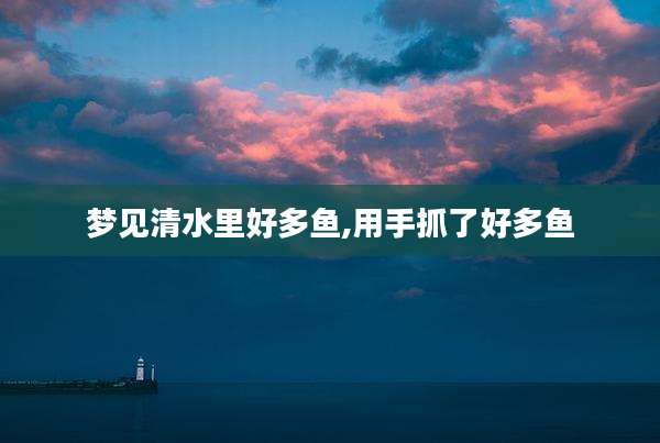 梦见清水里好多鱼,用手抓了好多鱼