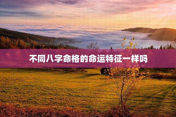 不同八字命格的命运特征一样吗