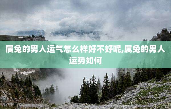 属兔的男人运气怎么样好不好呢,属兔的男人运势如何