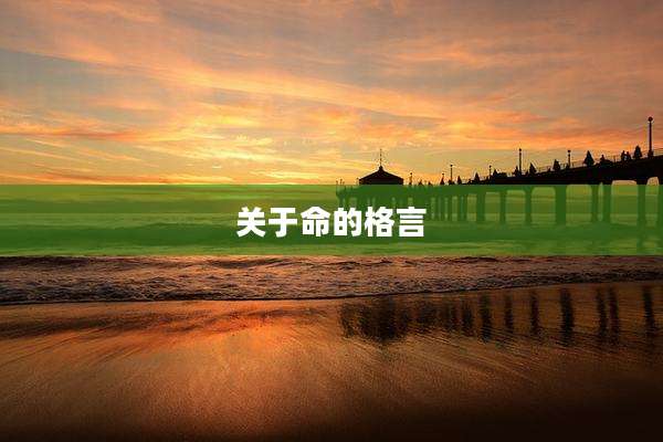 关于命的格言