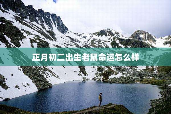 正月初二出生老鼠命运怎么样