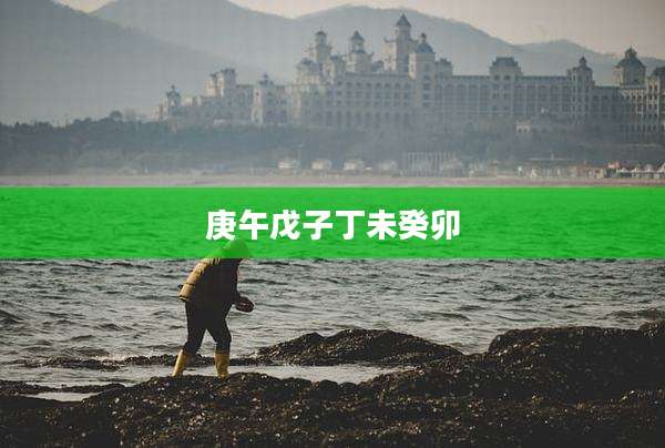庚午戊子丁未癸卯