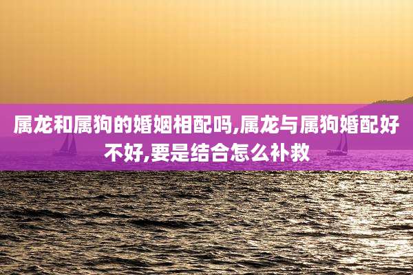 属龙和属狗的婚姻相配吗,属龙与属狗婚配好不好,要是结合怎么补救