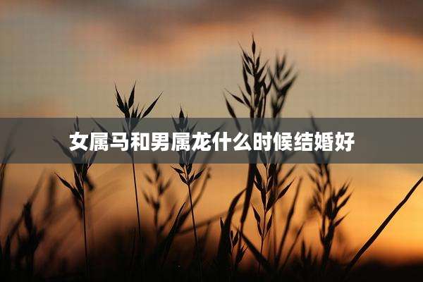 女属马和男属龙什么时候结婚好