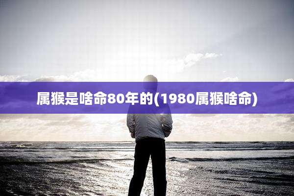 属猴是啥命80年的(1980属猴啥命)