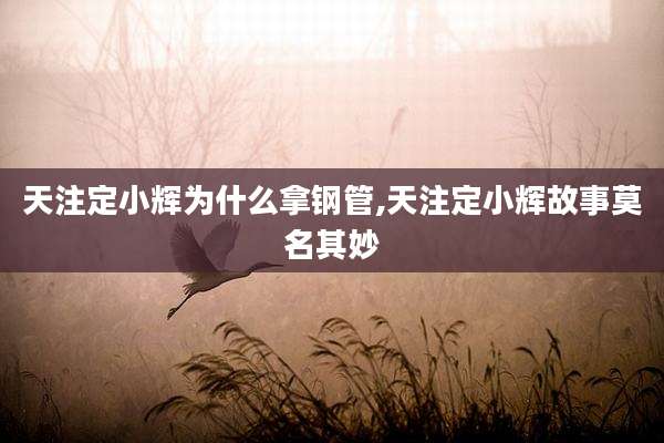 天注定小辉为什么拿钢管,天注定小辉故事莫名其妙