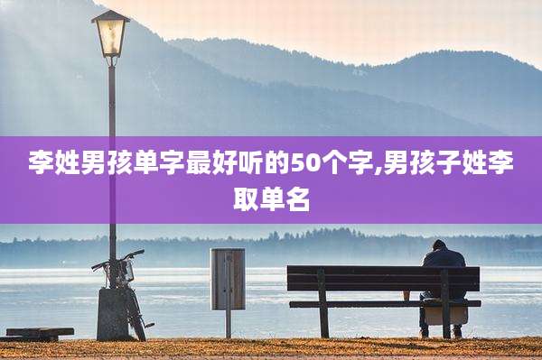 李姓男孩单字最好听的50个字,男孩子姓李取单名